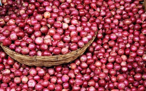 Organic Dark Pink Fresh Rose Onion - 10kg, 25kg, 5kg | Very Good Quality, Raw Processing, Natural Taste, No Added Color, Cool and Dry Storage, 15 Days Shelf Life