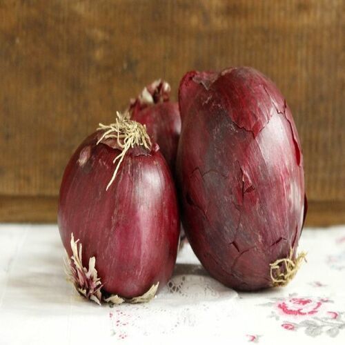 Healthy and Natural Fresh Sambar Onion