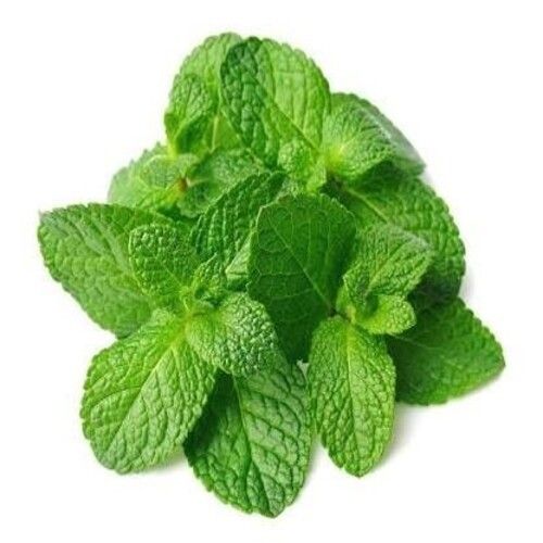 Healthy And Natural Green Mint Leaves Grade: Food Grade