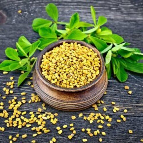 Organic Farm Fresh Fenugreek