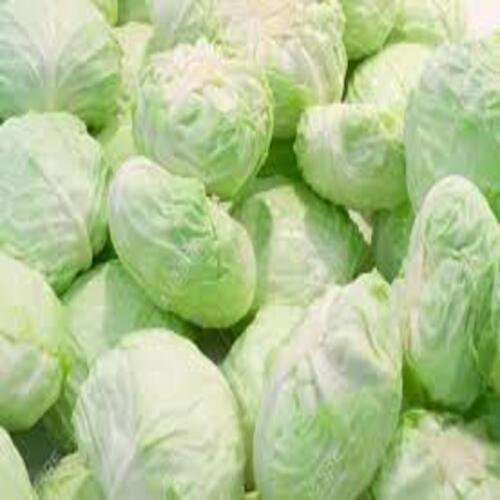 Round Healthy And Natural Fresh Cabbage