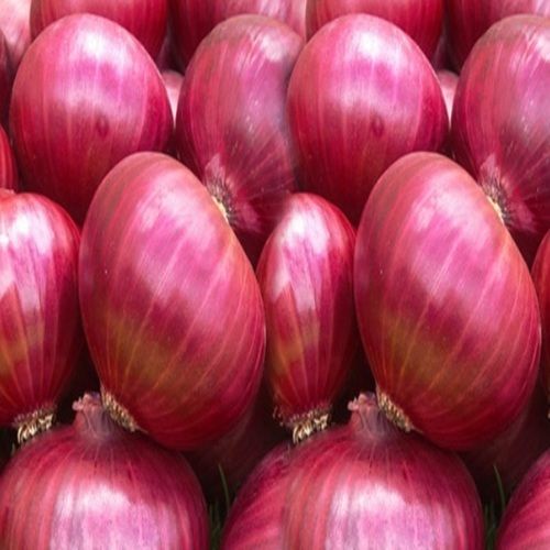 Healthy and Natural Fresh Onions