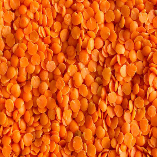 Organic Healthy And Natural Red Lentils