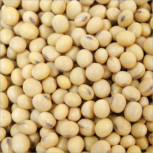 Healthy and Natural Soybean Seeds