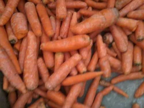 Rich In Vitamin A Fresh Carrot