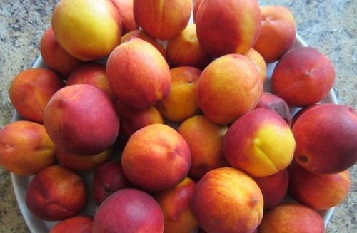 Unique Sweet Flavor Frozen Peaches