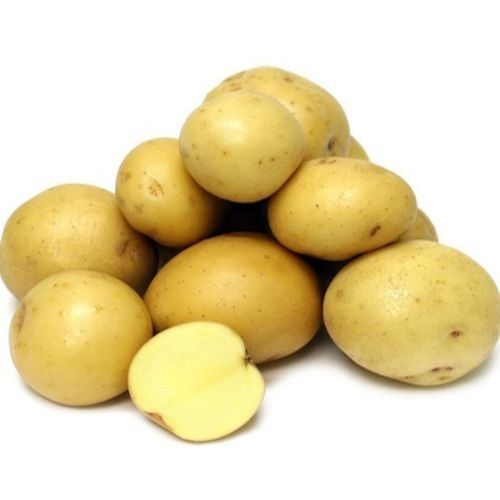 Round Healthy And Natural Fresh Pukhraj Potato