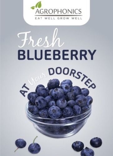 Tasty Fresh Natural Blueberries