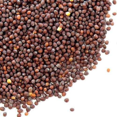 Brown Color Mustard Seeds Grade: Premium