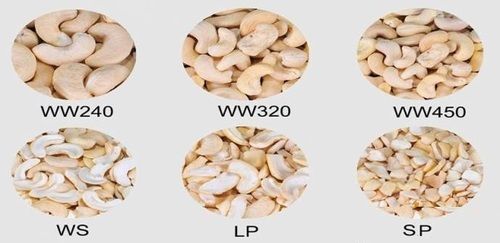 Cashew Kernels Broken (%): 2