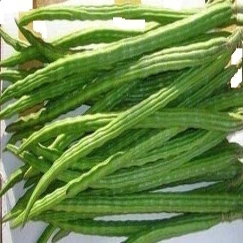 Organic Green Drumstick - 50 Kg, 25g Protein with 86.9% Moisture, Natural Taste and Non Harmful | Very Good Quality, Raw Fresh Style