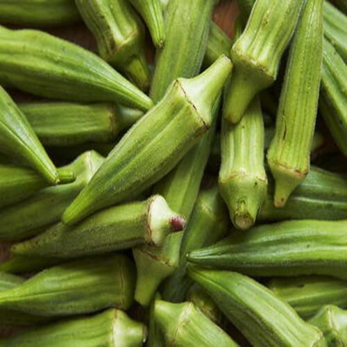 Fully Automatic Healthy And Natural Fresh Okra