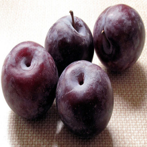 Healthy and Natural Fresh Plums