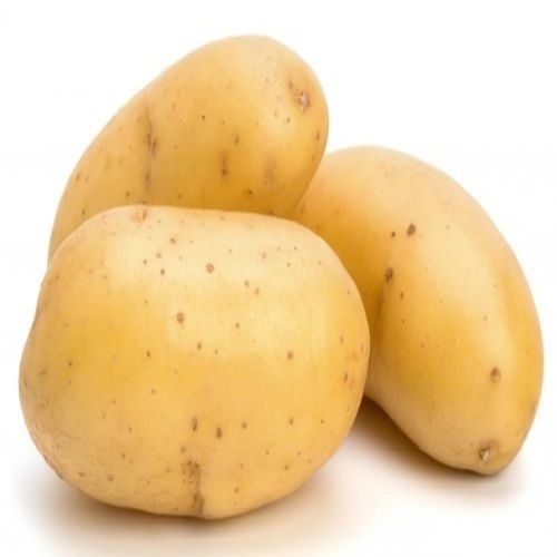 Round Healthy And Natural Fresh Potato