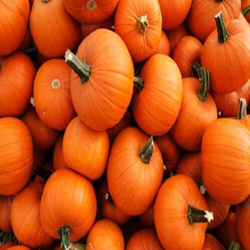 Healthy and Natural Fresh Pumpkin