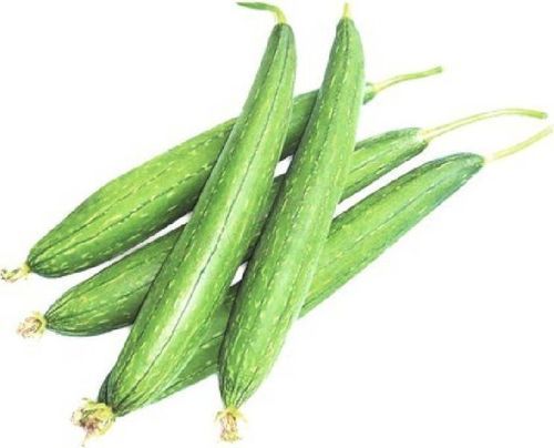 Healthy and Natural Fresh Sponge Gourd