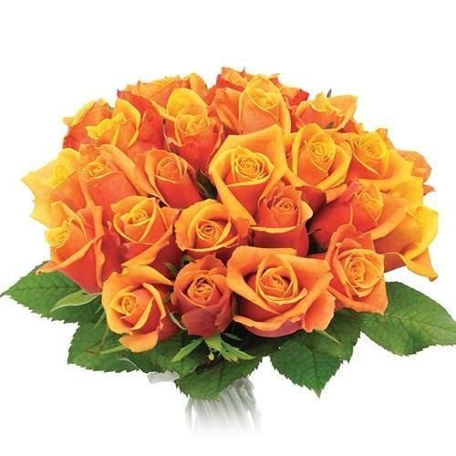 Natural And Fresh Orange Rose Flower