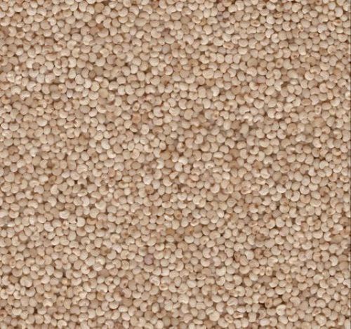 Brown Natural Khas Khas Seeds