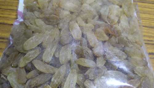 Export Quality Natural Dried Raisins Kismis