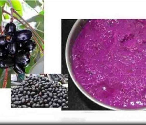 Natural Frozen Jamun Pulp