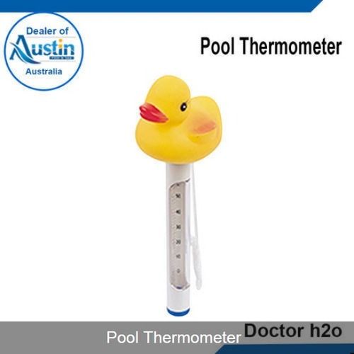 Swimming Pool Thermometer Exporter from New Delhi