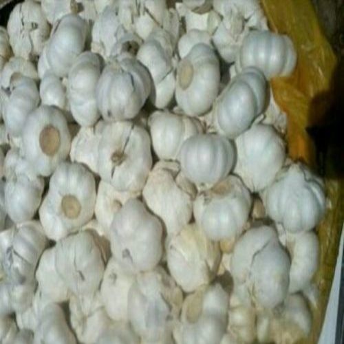 Healthy and Natural 40mm Fresh Garlic