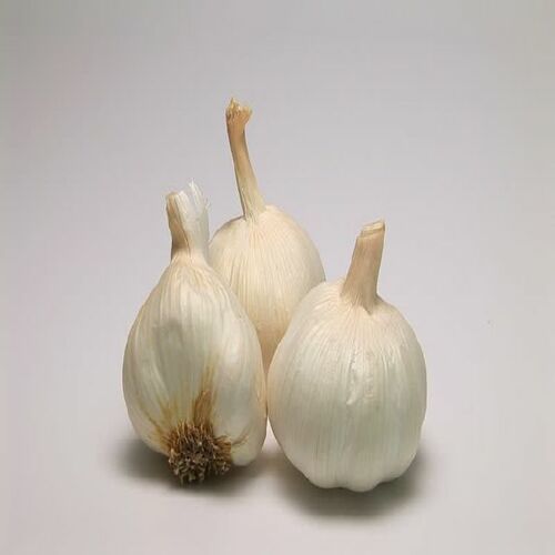 Healthy and Natural Fresh Garlic