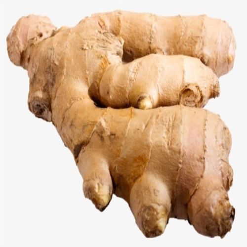 Healthy and Natural Fresh Ginger