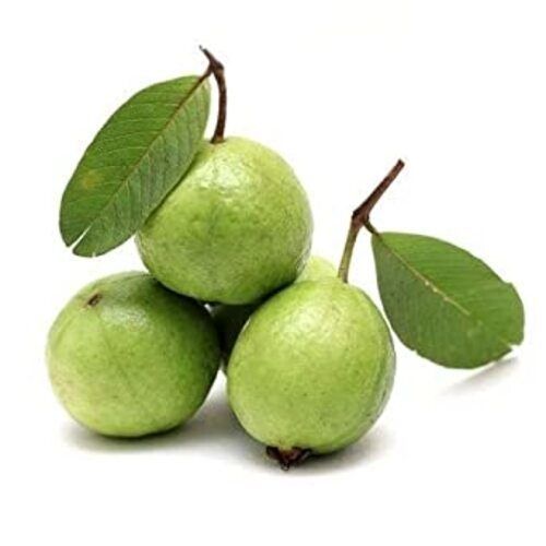 Healthy and Natural Fresh Guava