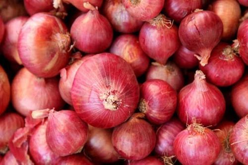 Round Healthy And Natural Fresh Red Onion