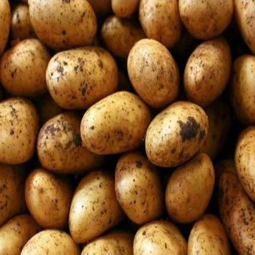 Healthy and Natural Fresh Small Potato