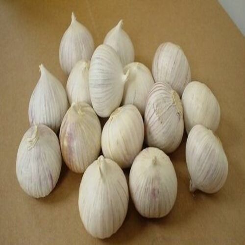 Healthy And Natural Single Clove Garlic Shelf Life: 6 Months