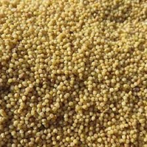 Brown Top Millet Korle