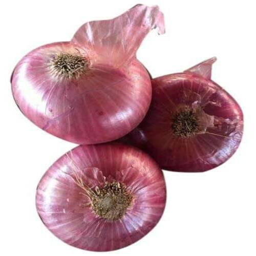 Healthy And Natural Fresh Big Onion