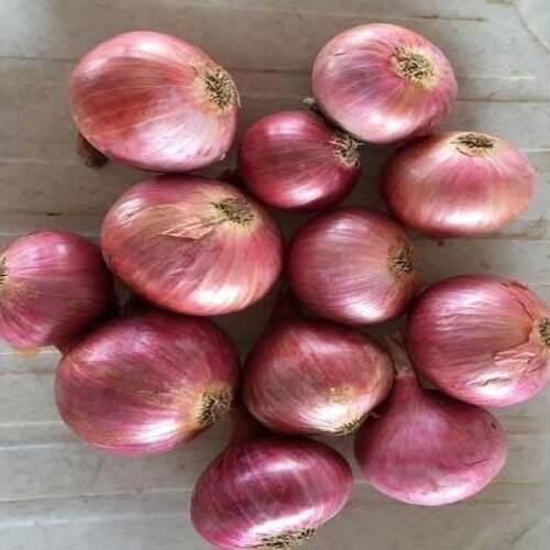 Healthy and Natural Fresh Garva Onion