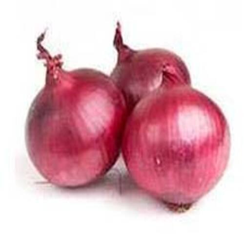 Healthy and Natural Fresh Nasik Onion