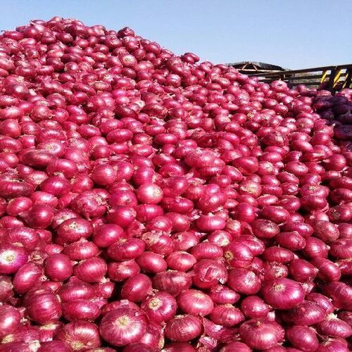 Healthy and Natural Fresh Red Onion