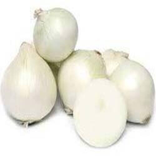 Healthy and Natural Fresh White Onion