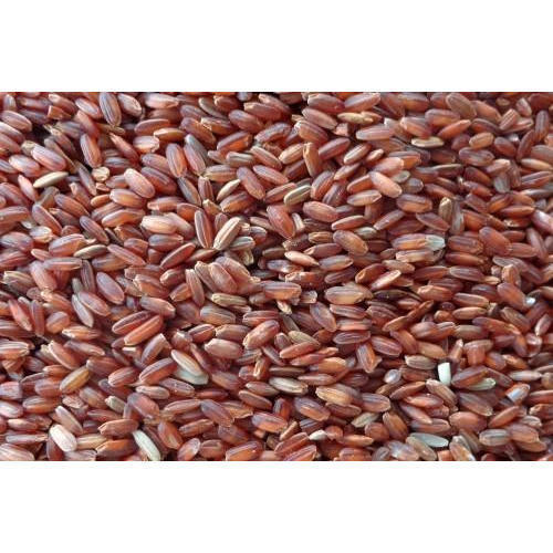 Indian Gma Red Kavuni Rice