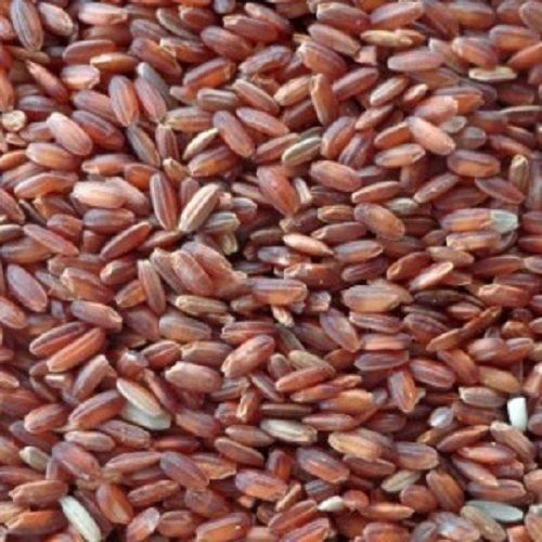 Common Red Color Kavuni Rice