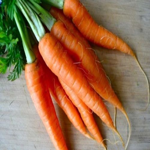 Healthy And Natural Fresh Carrot