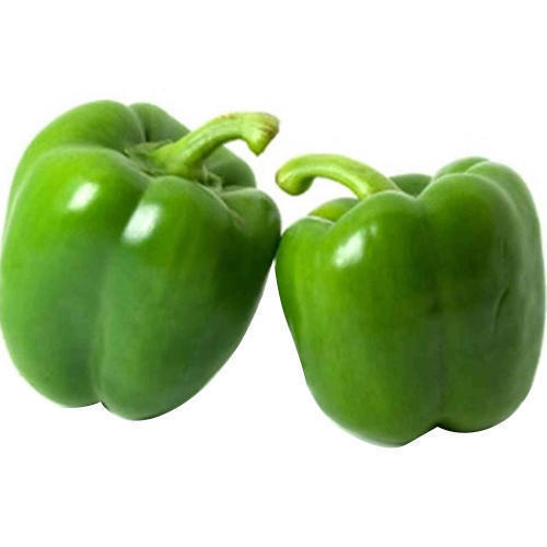 Healthy And Natural Fresh Green Capsicum Shelf Life: 1-3 Days