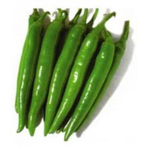 Healthy and Natural Fresh Long Green Chilli 