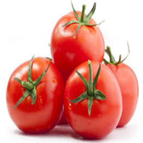 Round Healthy And Natural Fresh Organic Tomato