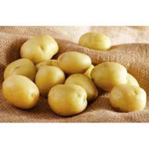 Round Healthy And Natural Fresh Potato