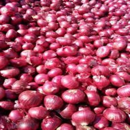 Round Healthy And Natural Fresh Red Onion