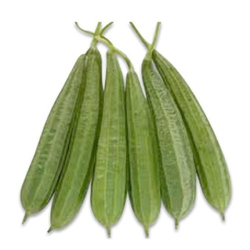 Healthy and Natural Fresh Snake Gourd