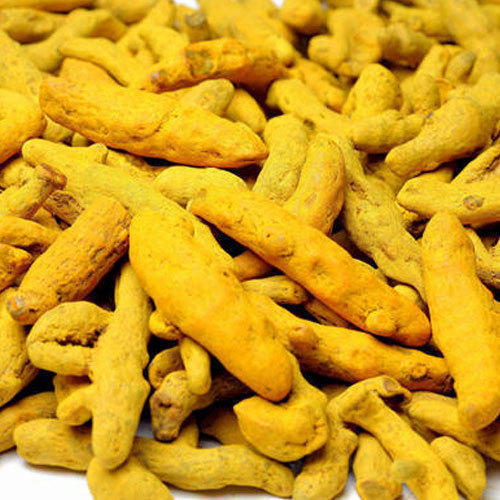 Turmeric Finger - Dried, Very Good Quality | Natural Taste, Raw Processing, Yellow Color, Food Grade, Block Shape, Ideal for Cooking