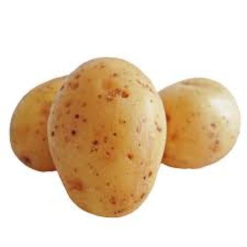 Round Healthy And Natural Fresh Potato