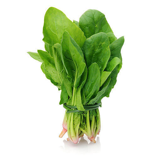 Healthy And Natural Fresh Spinach